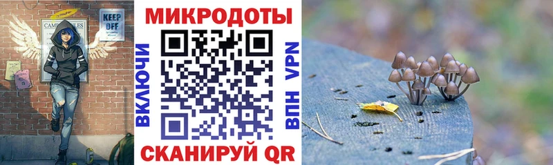 Псилоцибиновые грибы мухоморы  darknet официальный сайт  Чебаркуль  mega tor 